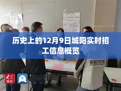 历史上的城阳实时招工信息概览，聚焦十二月九日招工动态