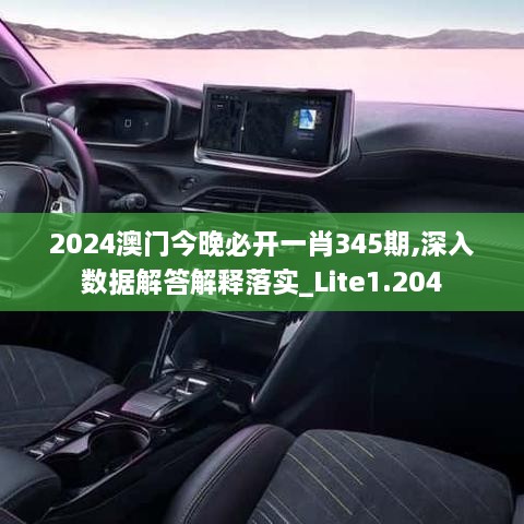 2024澳门今晚必开一肖345期,深入数据解答解释落实_Lite1.204