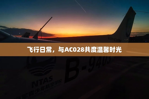 与AC028共度温馨飞行日常时光