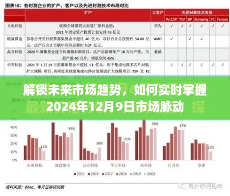 解锁未来市场趋势，实时掌握市场脉动，洞悉市场变化——以2024年12月9日为界