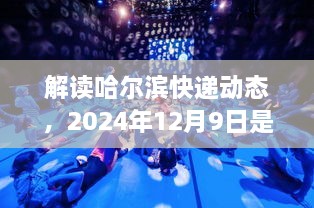 2024年12月10日 第28页