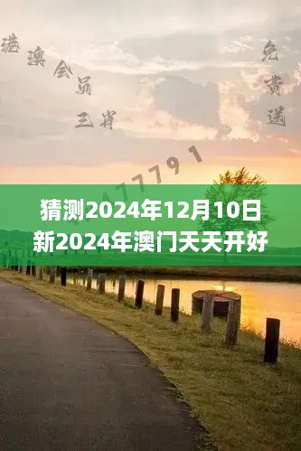 2024年12月10日 第26页