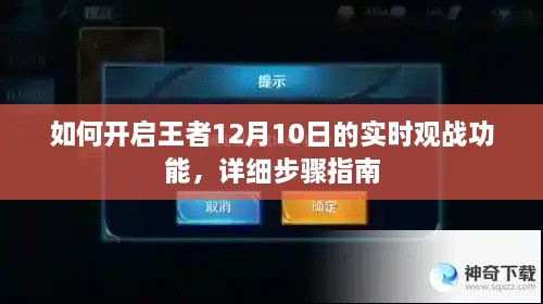 详细步骤指南，如何开启王者12月10日实时观战功能