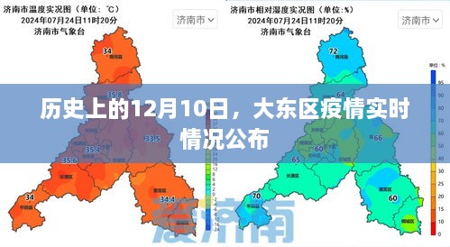 大东区疫情实时情况公布，历史视角下的12月10日疫情数据报告