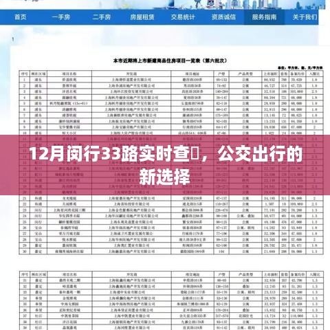 12月闵行33路公交车实时查询，公交出行的新选择