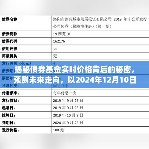 揭秘债券基金实时价格背后的秘密，预测未来走向至2024年12月10日展望