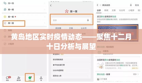 黄岛地区实时疫情动态分析，十二月十日分析与展望