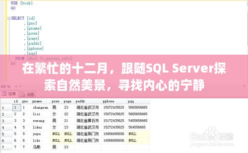 繁忙十二月的SQL Server之旅，探寻自然美景，寻觅内心宁静