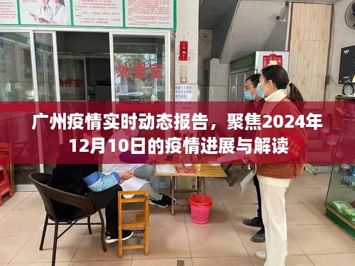 广州疫情进展解读，聚焦2024年12月10日的实时动态报告