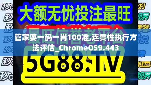 管家婆一码一肖100准,连贯性执行方法评估_ChromeOS9.443