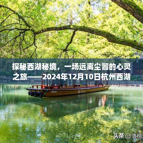 探秘西湖秘境，心灵之旅的实时直播日——杭州西湖景区直播活动纪实（2024年12月10日）