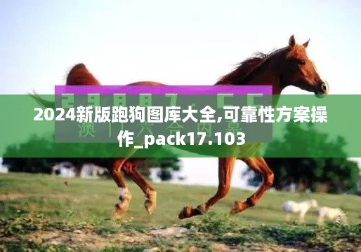 2024新版跑狗图库大全,可靠性方案操作_pack17.103