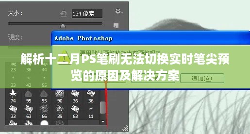 十二月PS笔刷无法切换实时笔尖预览问题解析与解决方案