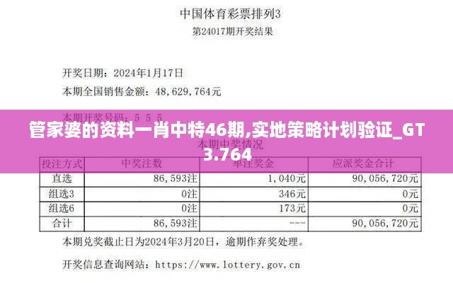 管家婆的资料一肖中特46期,实地策略计划验证_GT3.764