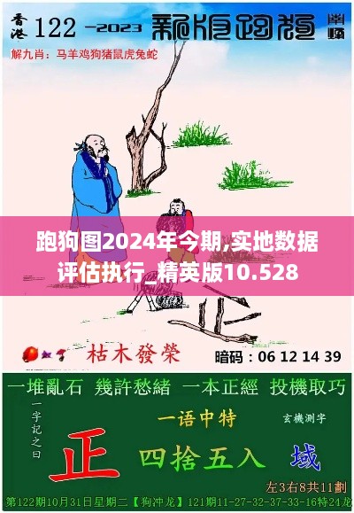 跑狗图2024年今期,实地数据评估执行_精英版10.528