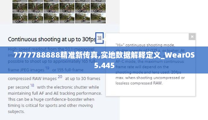 7777788888精准新传真,实地数据解释定义_WearOS5.445