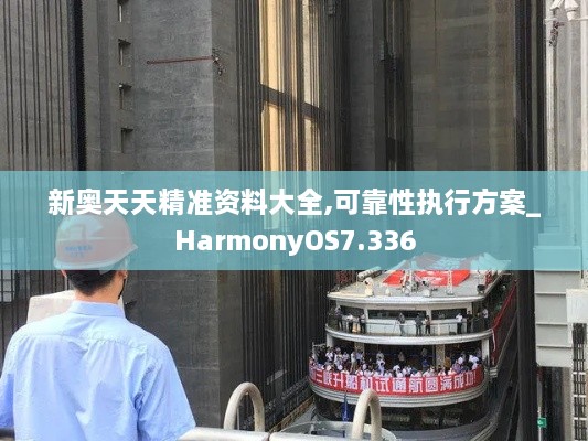 新奥天天精准资料大全,可靠性执行方案_HarmonyOS7.336