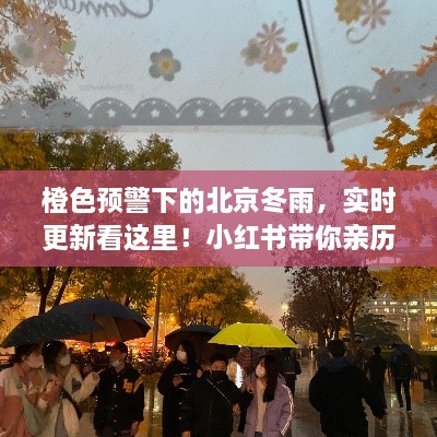 橙色预警下的北京冬雨，雨幕下的古都风情实时更新——小红书带你亲历体验