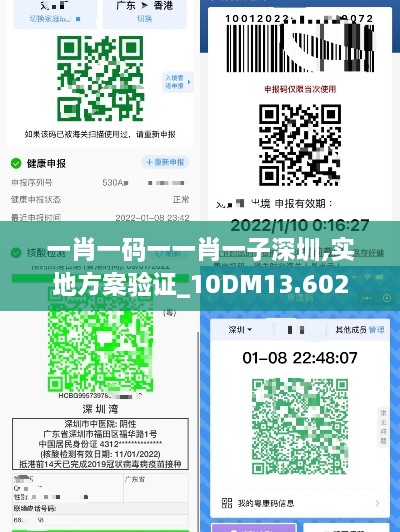 一肖一码一一肖一子深圳,实地方案验证_10DM13.602