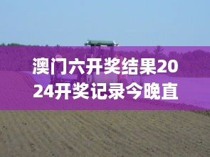 澳门六开奖结果2024开奖记录今晚直播,经典案例解释定义_桌面款3.209