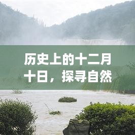 十二月十日的自然探寻之旅，寻找内心的平和宁静