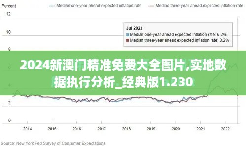 2024新澳门精准免费大全图片,实地数据执行分析_经典版1.230