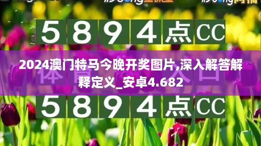 2024澳门特马今晚开奖图片,深入解答解释定义_安卓4.682