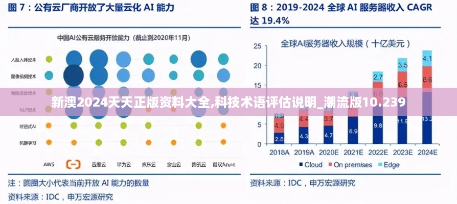 新澳2024天天正版资料大全,科技术语评估说明_潮流版10.239