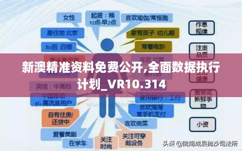 新澳精准资料免费公开,全面数据执行计划_VR10.314