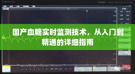 国产血糖实时监测技术，入门到精通指南