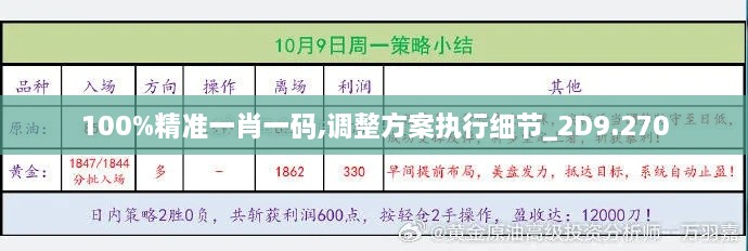 100%精准一肖一码,调整方案执行细节_2D9.270