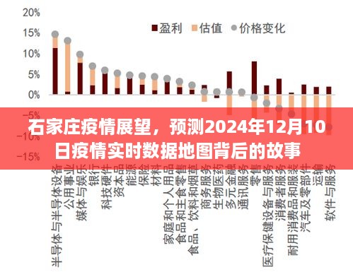 石家庄疫情展望，预测背后的故事与实时数据地图的解读