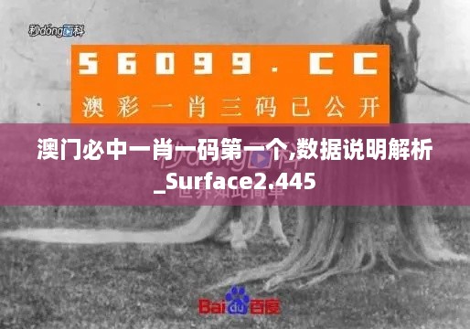 澳门必中一肖一码第一个,数据说明解析_Surface2.445