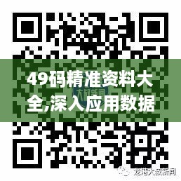 49码精准资料大全,深入应用数据解析_P版5.898