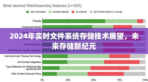 2024实时文件系统存储技术展望，未来存储新纪元探索