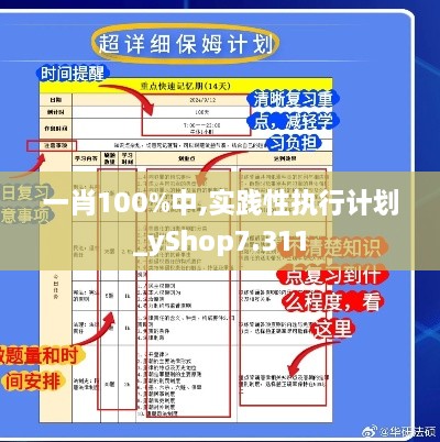 一肖100%中,实践性执行计划_yShop7.311