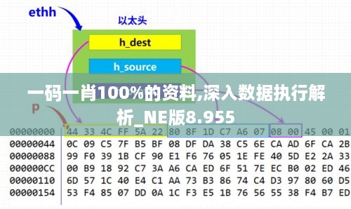 一码一肖100%的资料,深入数据执行解析_NE版8.955