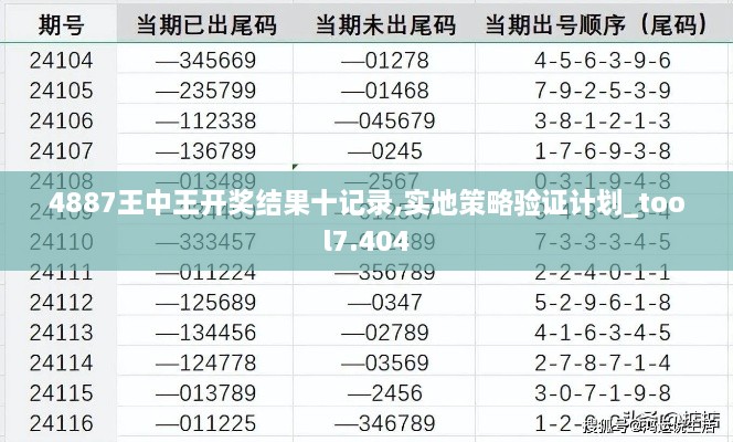 4887王中王开奖结果十记录,实地策略验证计划_tool7.404