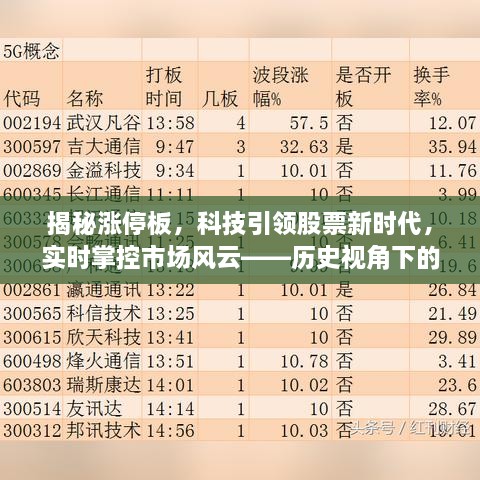 2024年12月11日 第56页