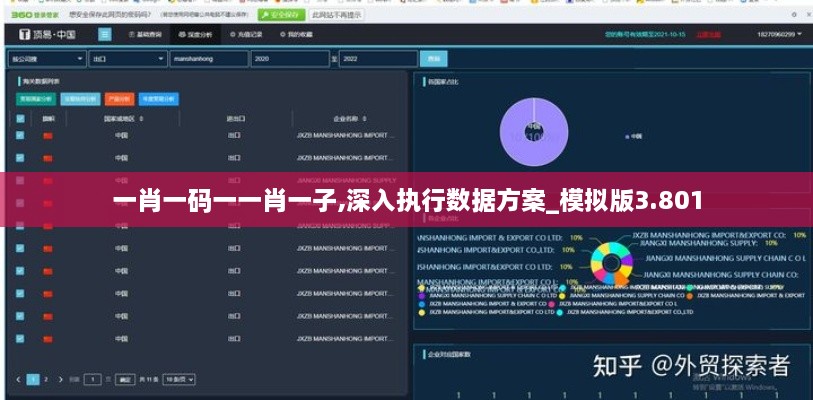 一肖一码一一肖一子,深入执行数据方案_模拟版3.801