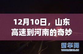 山东高速至河南之旅，探寻内心宁静与自然微笑的奇妙旅程