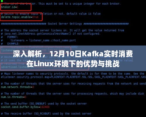 Linux环境下Kafka实时消费的优势与挑战深度解析