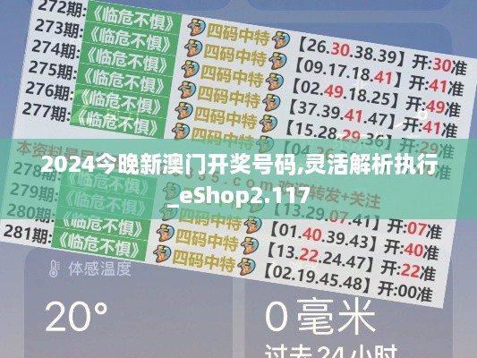 2024今晚新澳门开奖号码,灵活解析执行_eShop2.117