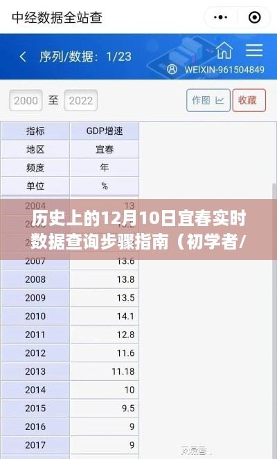 建议，宜春实时数据查询指南，初学者与进阶用户皆宜的12月10日查询步骤