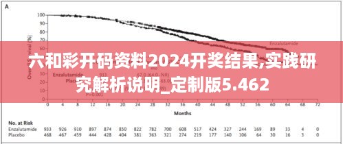 六和彩开码资料2024开奖结果,实践研究解析说明_定制版5.462