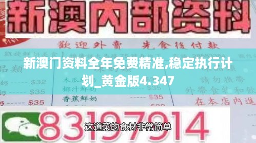 新澳门资料全年免费精准,稳定执行计划_黄金版4.347