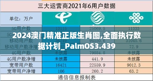 2024澳门精准正版生肖图,全面执行数据计划_PalmOS3.439