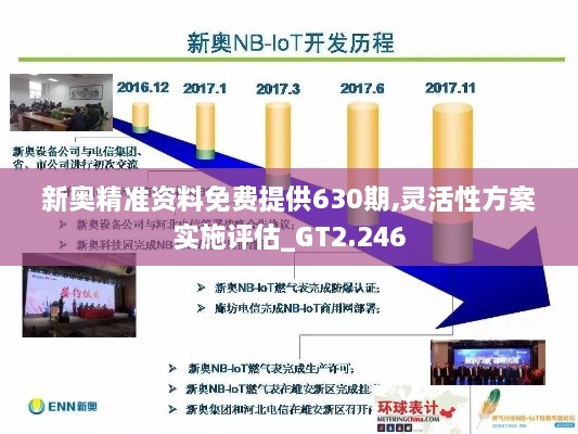 新奥精准资料免费提供630期,灵活性方案实施评估_GT2.246