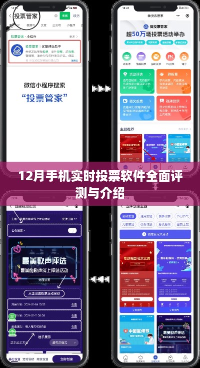 12月手机实时投票软件全面评测与详解
