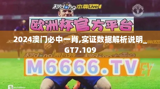 2024澳门必中一肖,实证数据解析说明_GT7.109